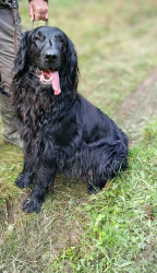 IMG 20250927 1018202 S